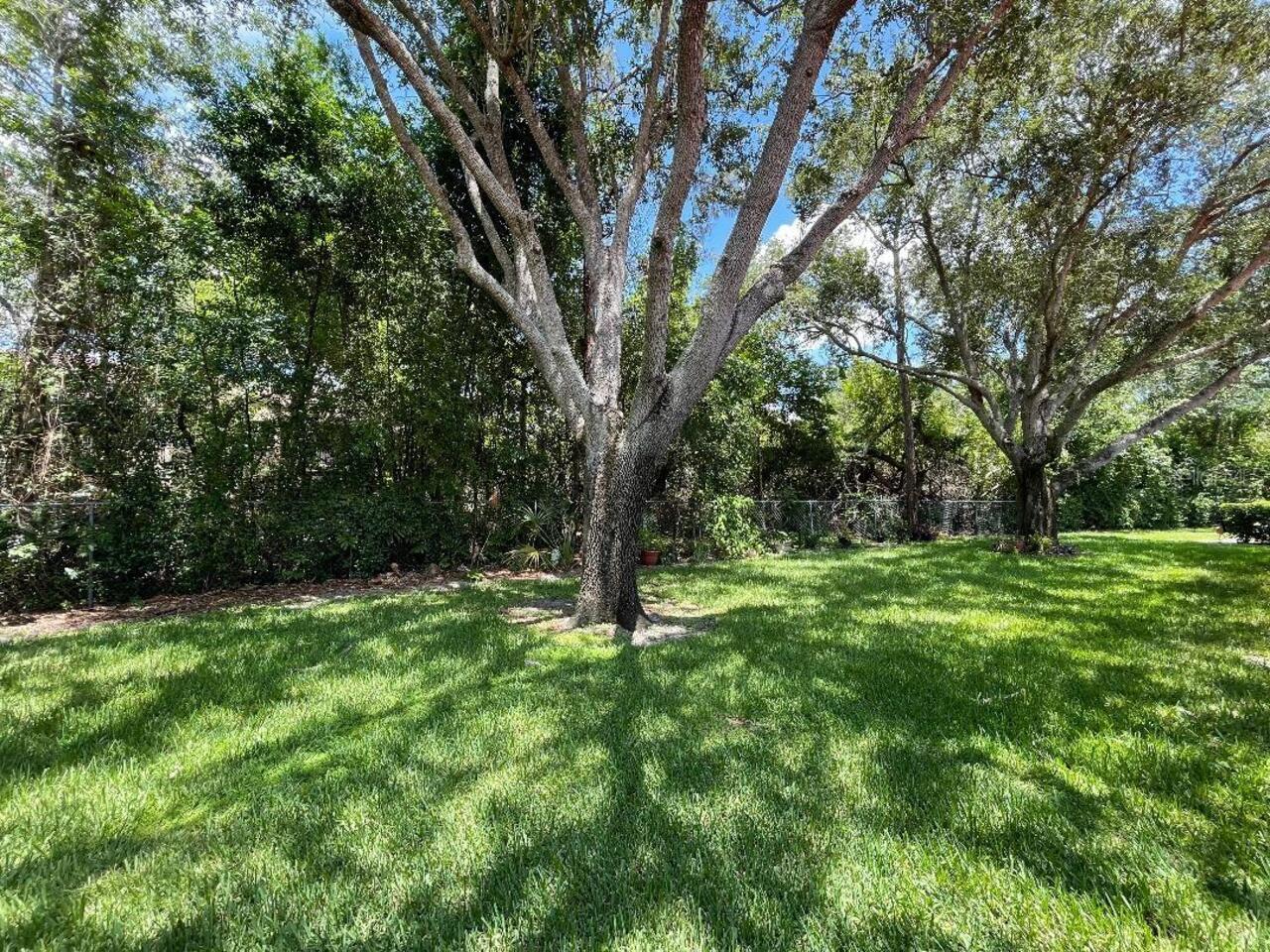 Listing Photo 74