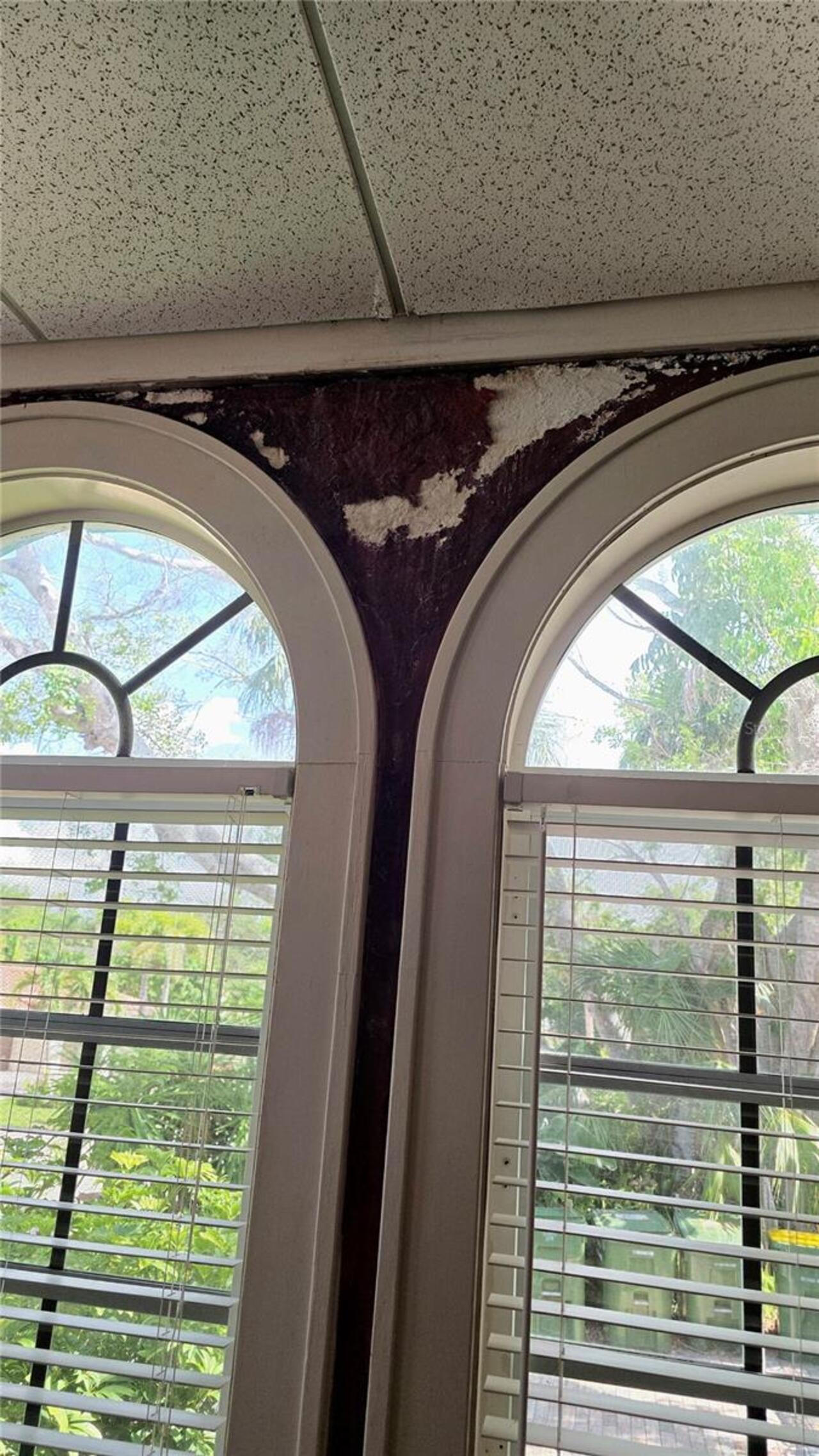 Listing Photo 92