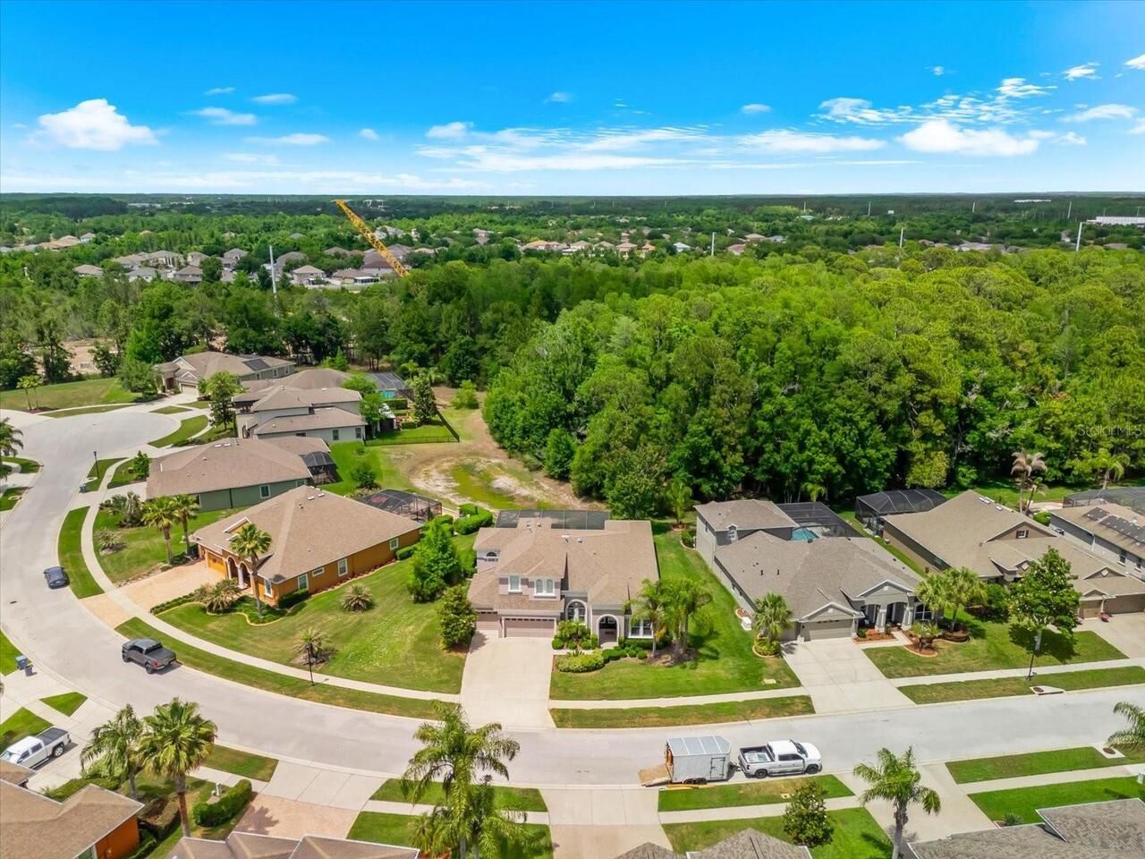 Land O Lakes Real Estate