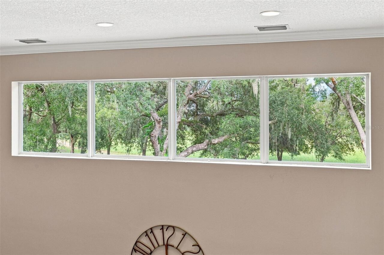 Listing Photo 41