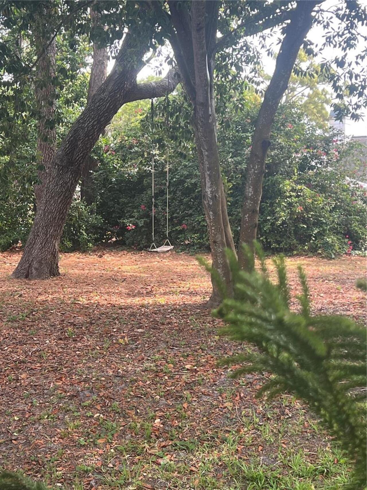 Listing Photo 33