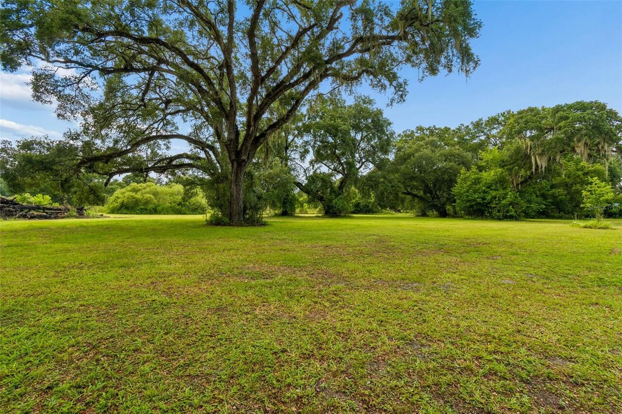 Listing Photo 69