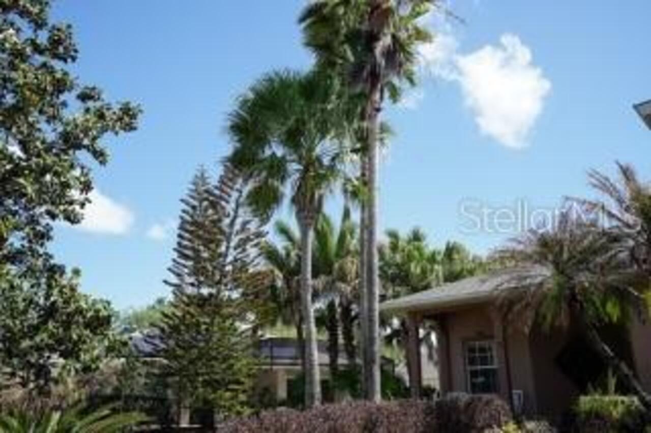 Listing Photo 54
