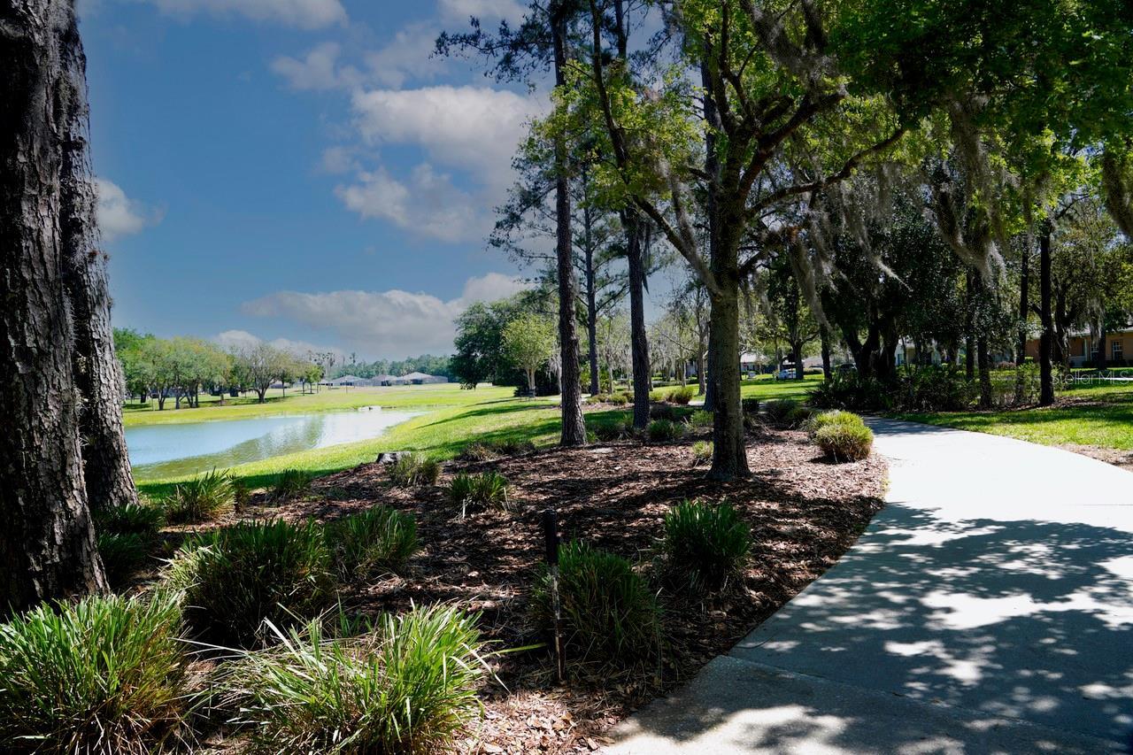 Listing Photo 66