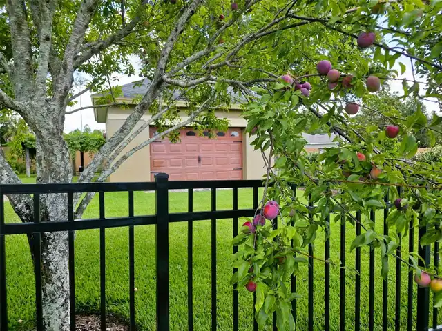 Listing Photo 6