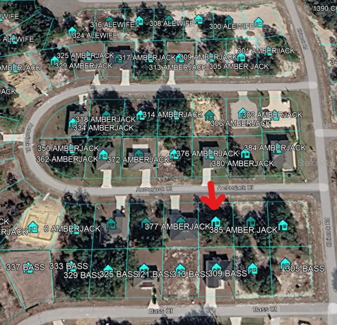View Listing