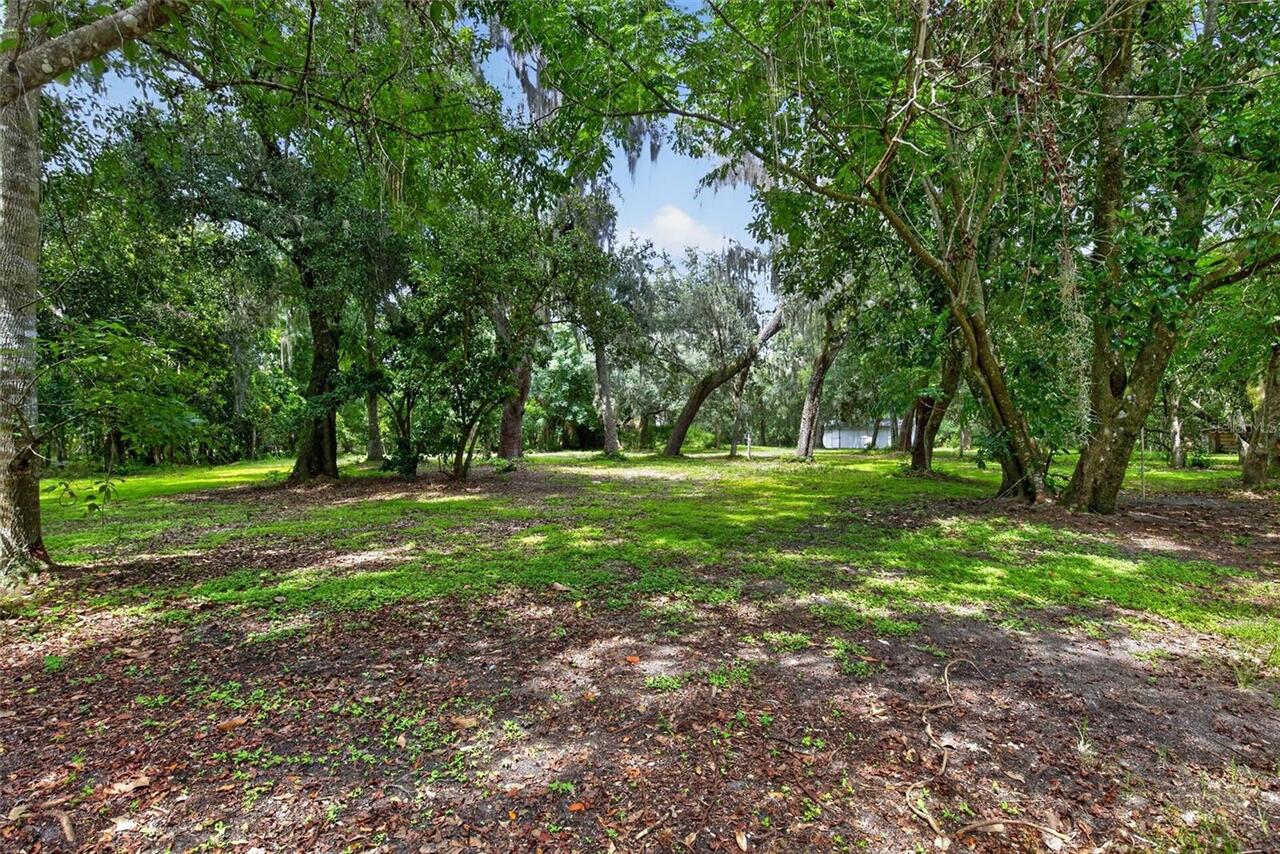 Listing Photo 61