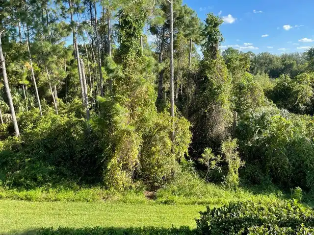 Listing Photo 15