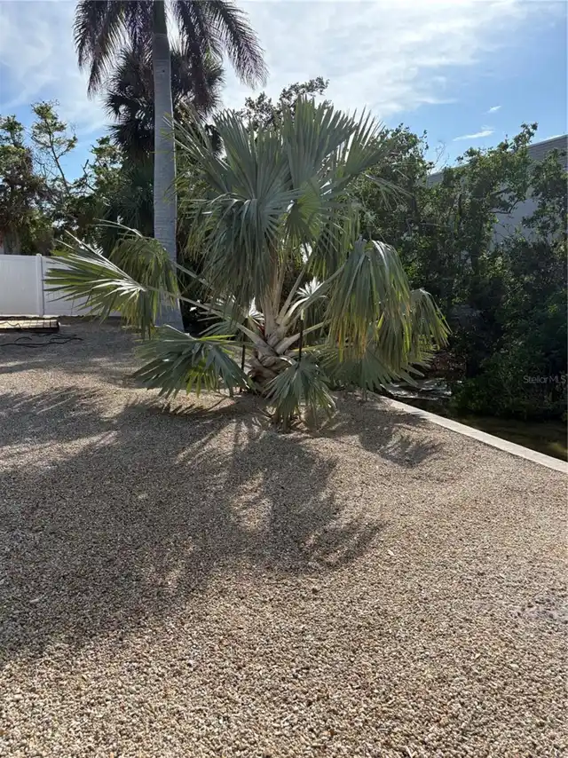 Listing Photo 21