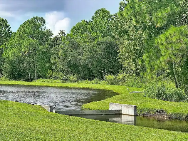 Listing Photo 61