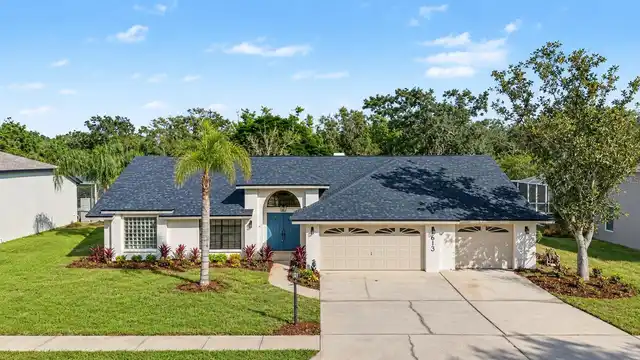 Palm Harbor Real Estate