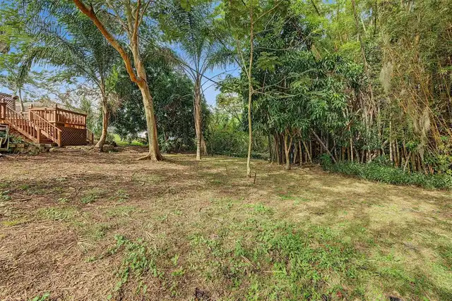 Listing Photo 52