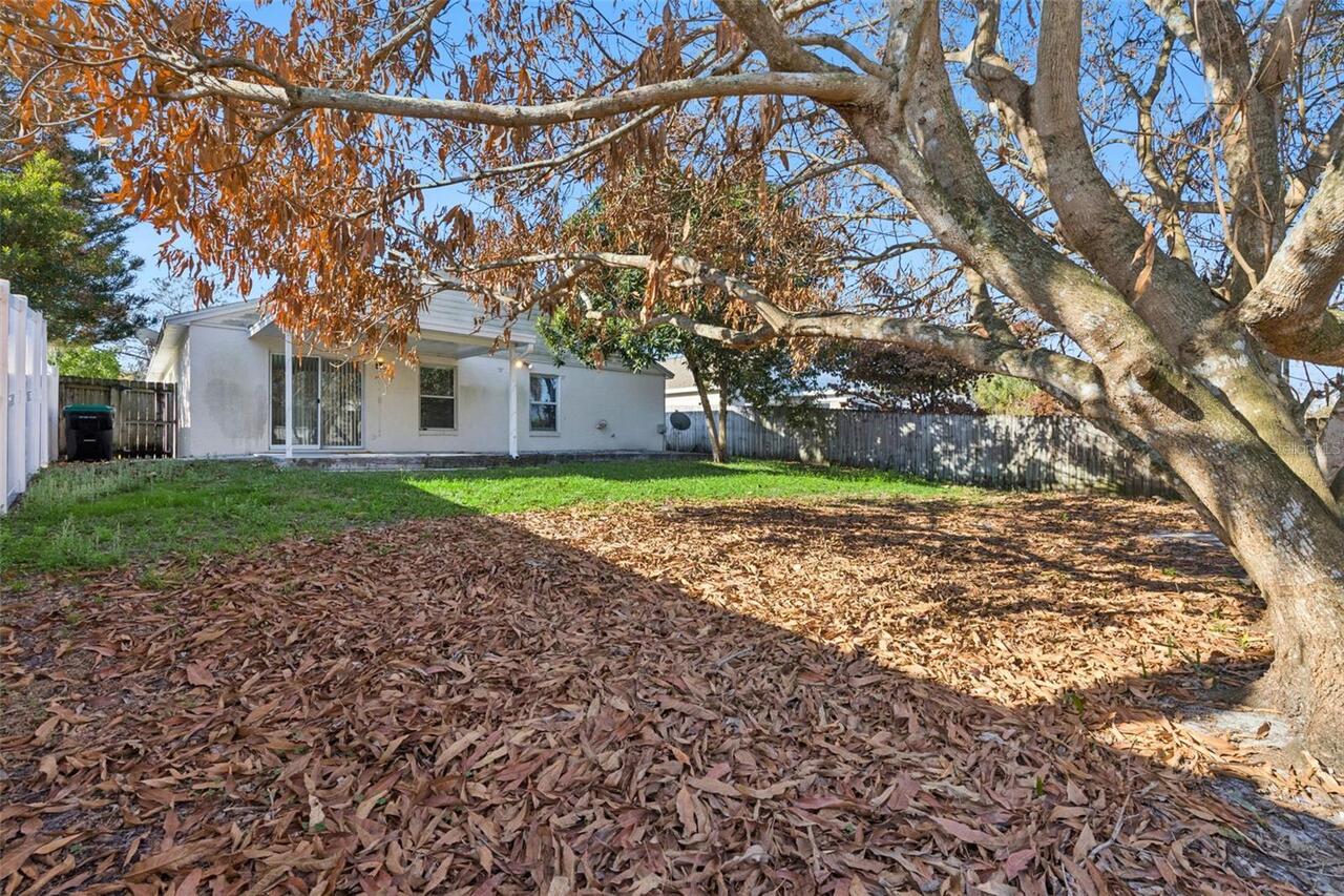 Listing Photo 25