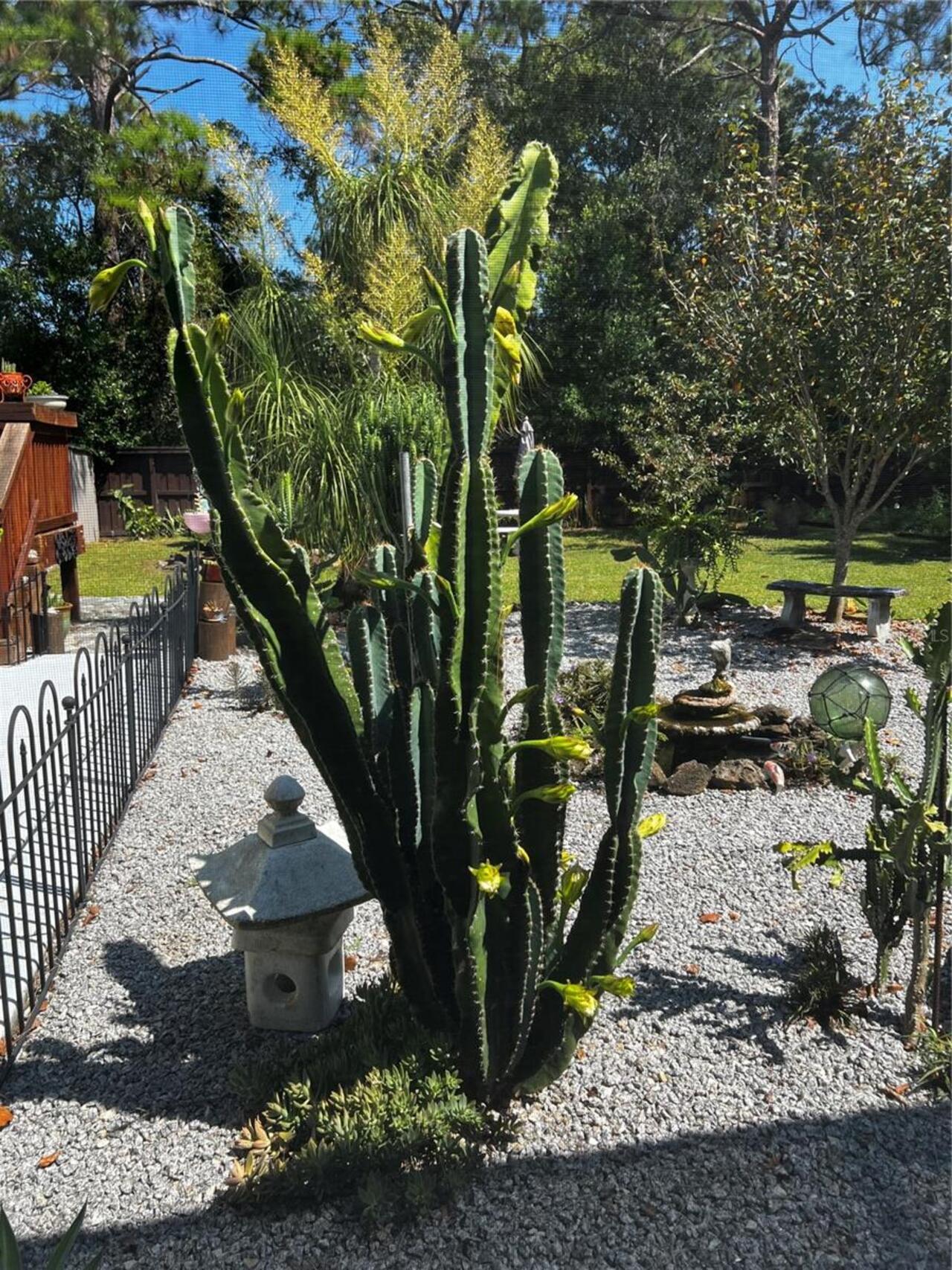 Listing Photo 74