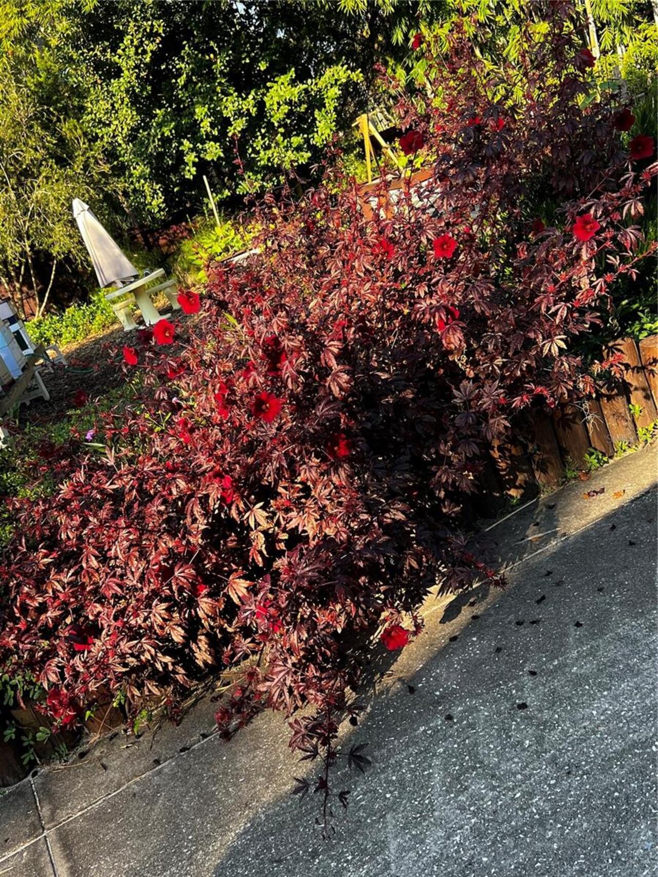 Listing Photo 75