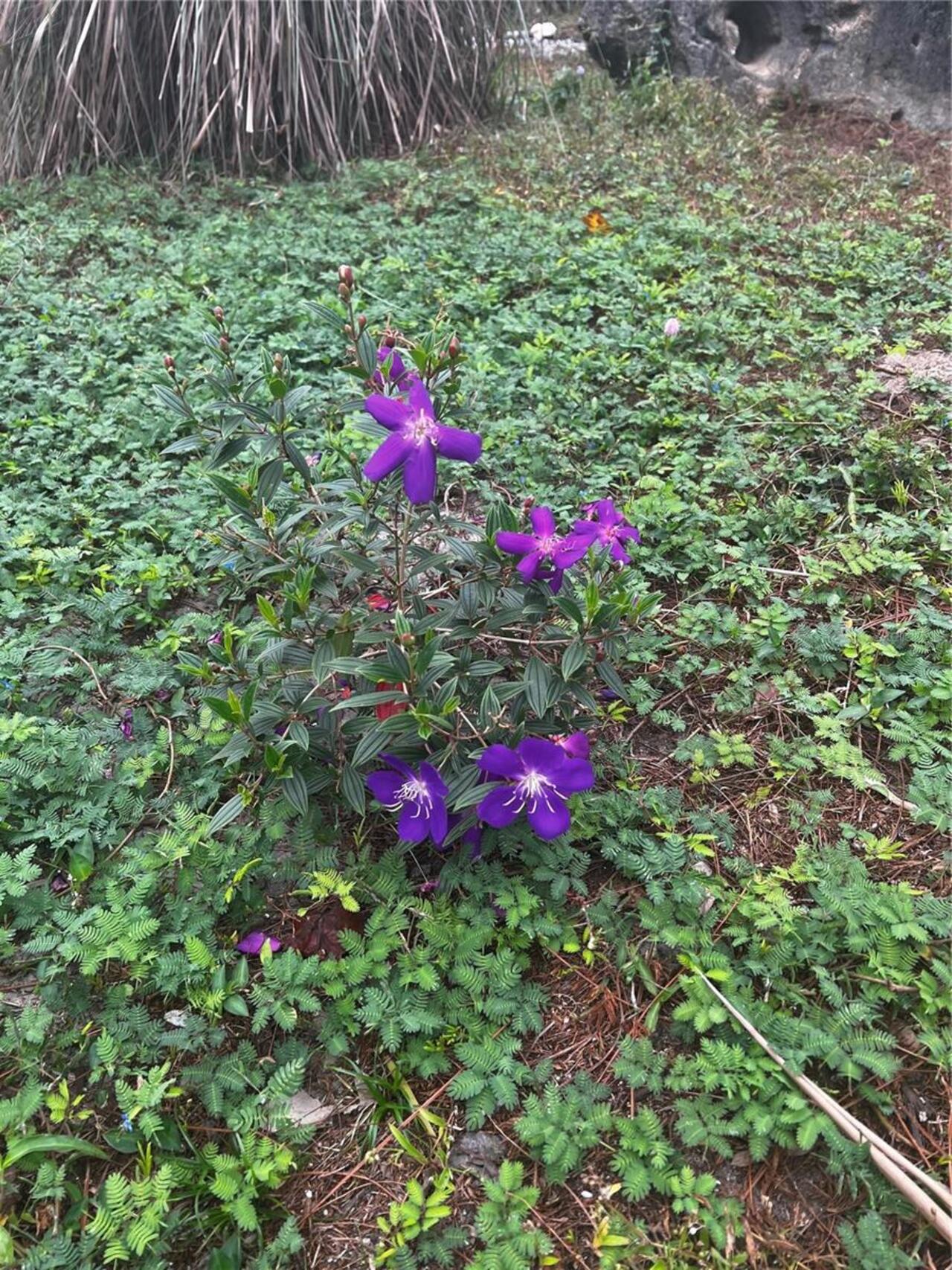 Listing Photo 85