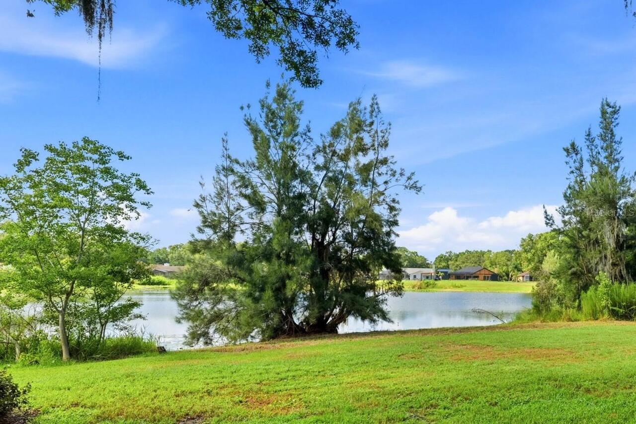 Listing Photo 11