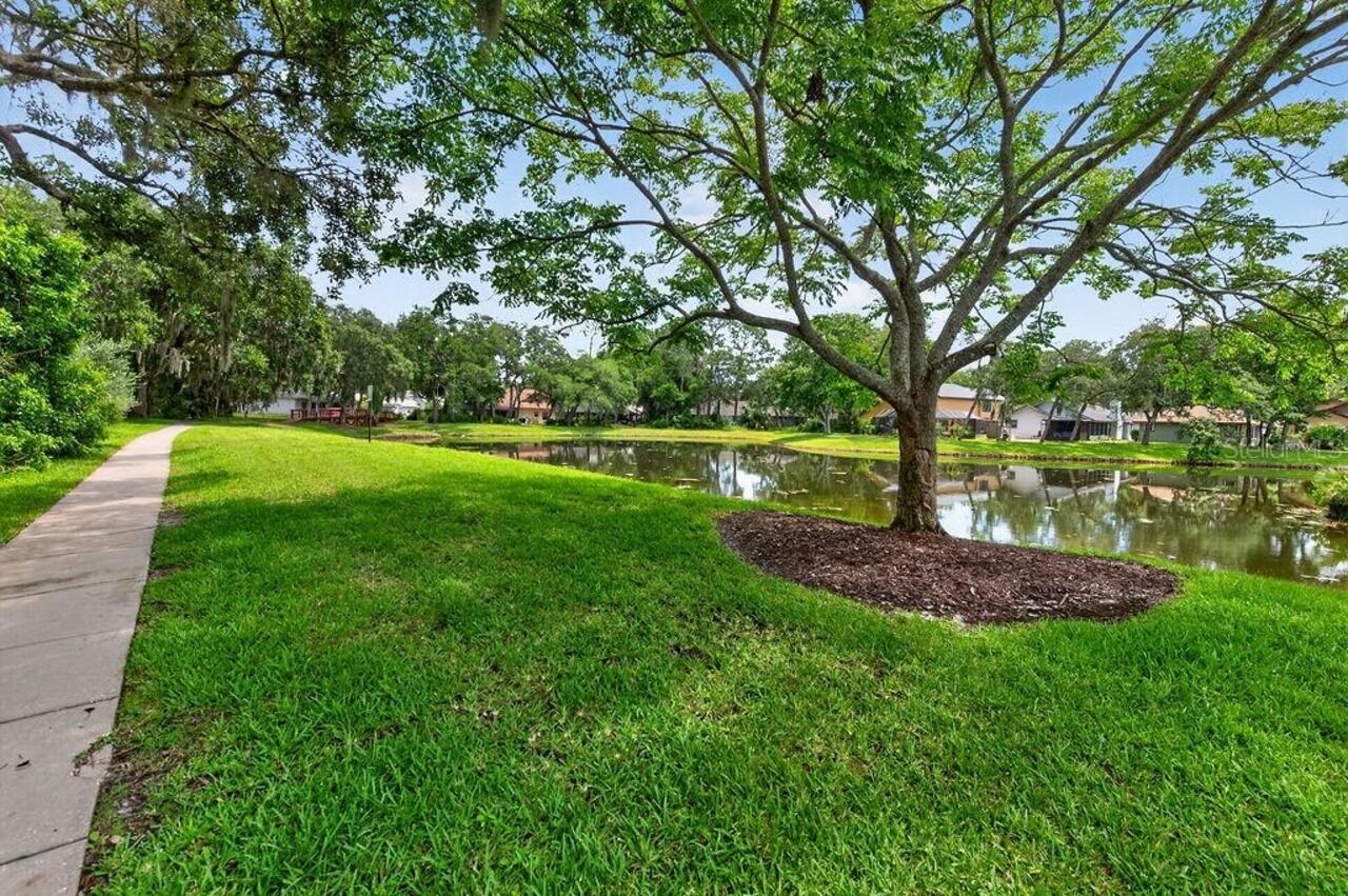 Listing Photo 69