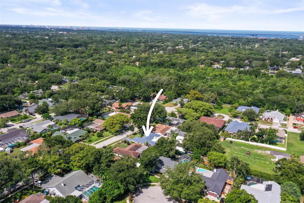 Listing Photo 54