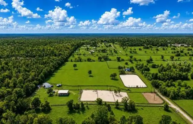 Ocala Real Estate