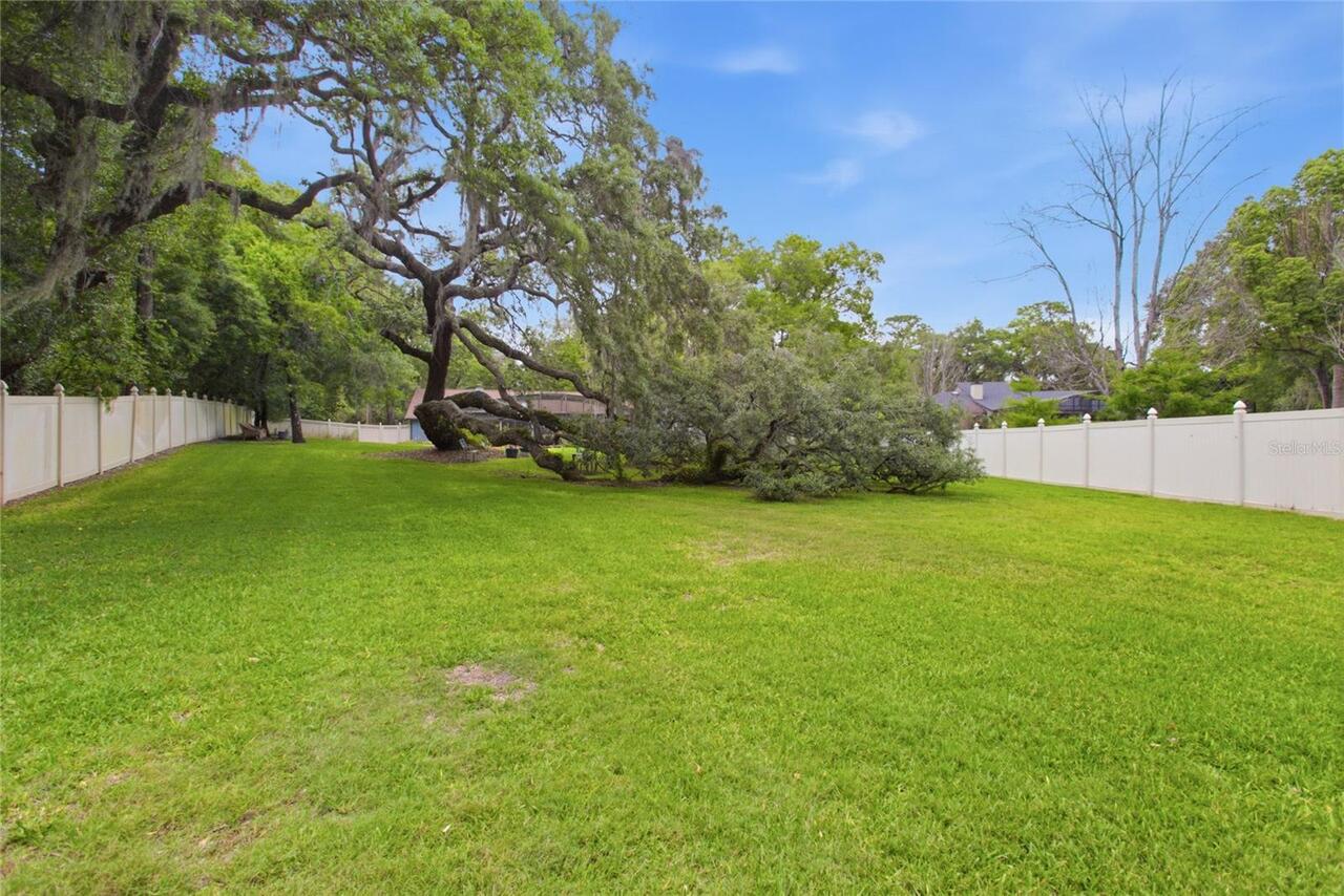 Listing Photo 51