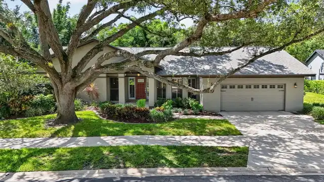 Listing Photo 81