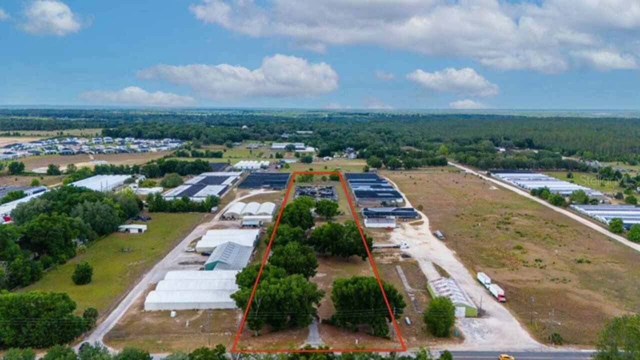 View Listing