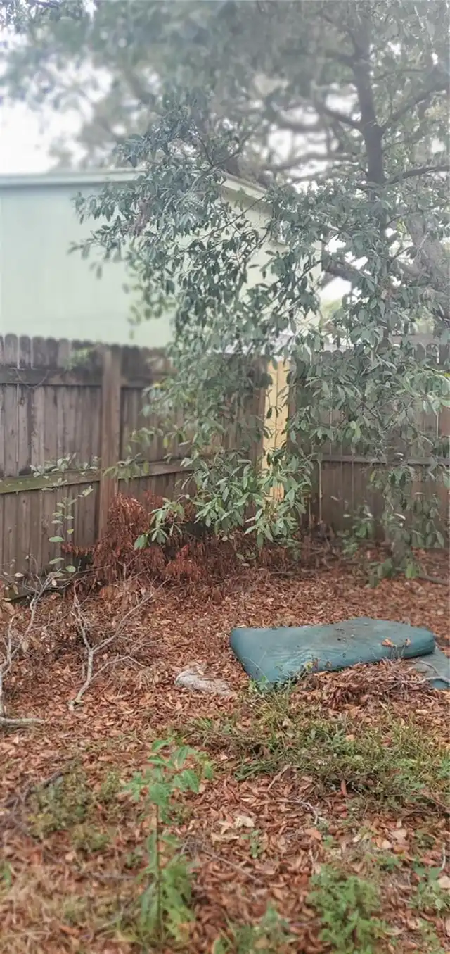 Listing Photo 19
