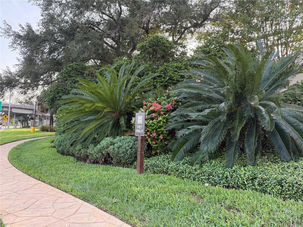 Listing Photo 38