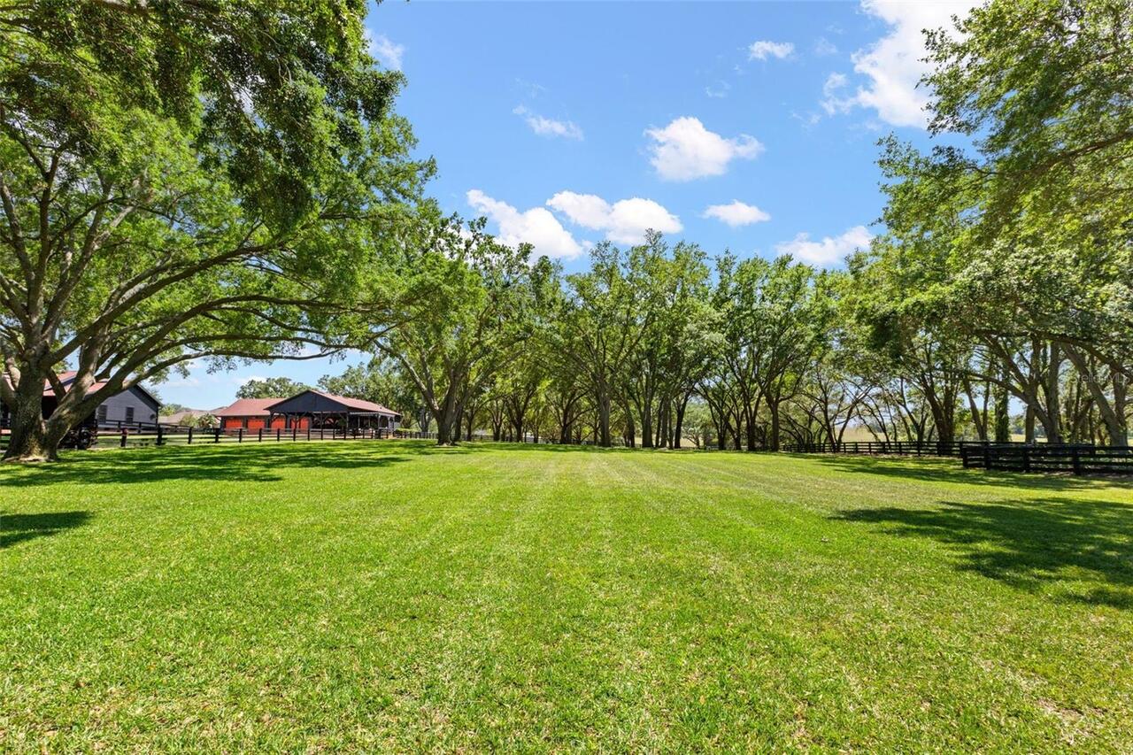 Listing Photo 67