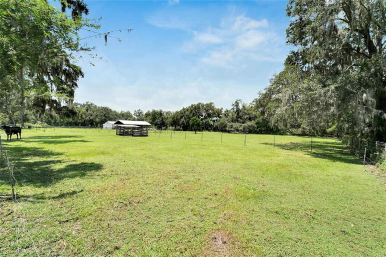 Listing Photo 53
