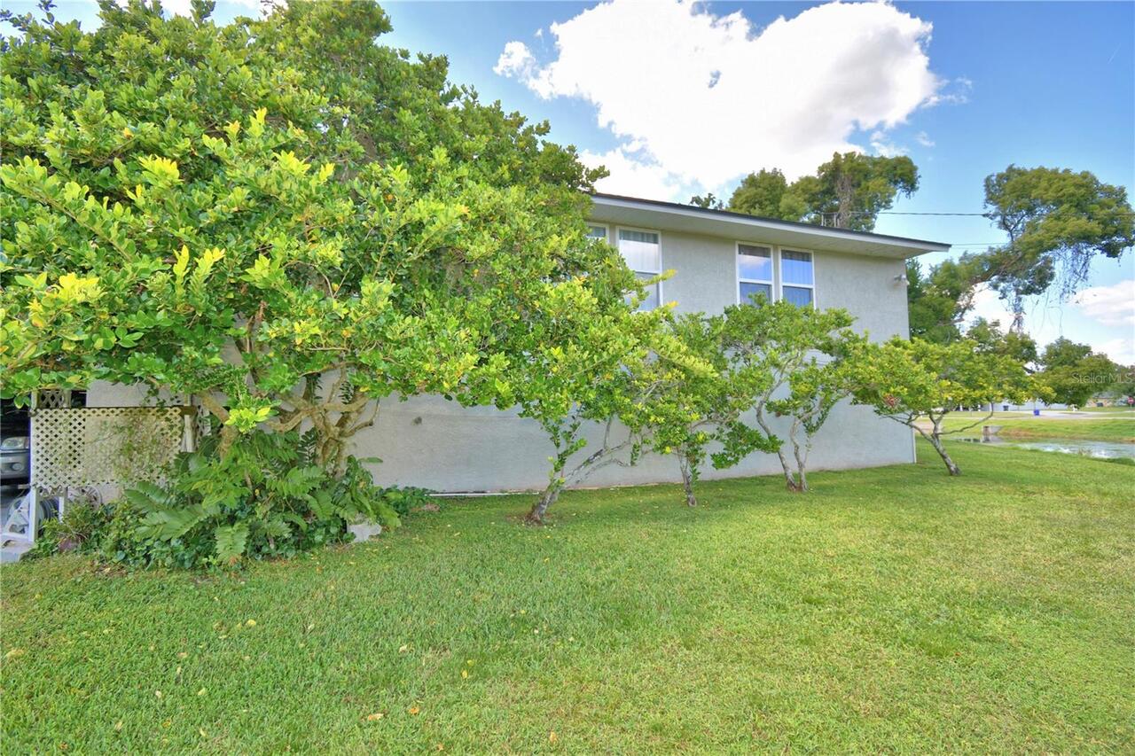 Listing Photo 48