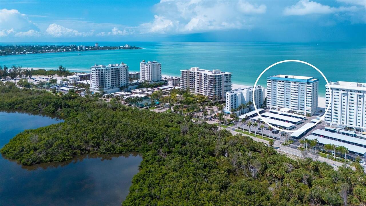 Sarasota Real Estate