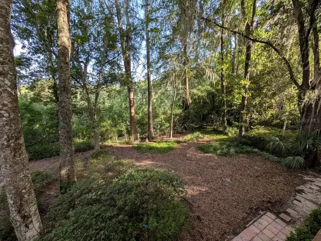 Listing Photo 35