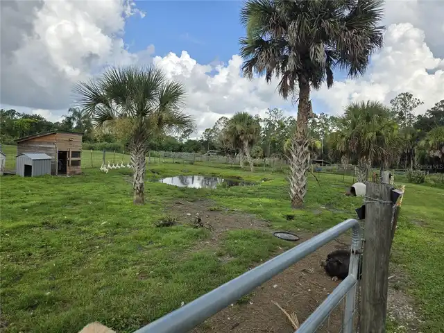 Listing Photo 46