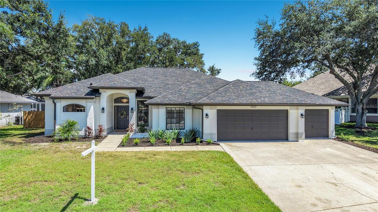 Palm Harbor Real Estate