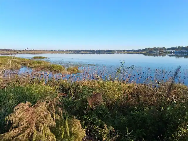 Listing Photo 18