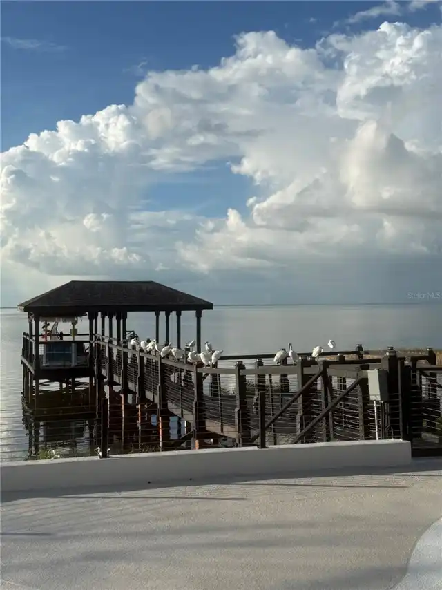 Listing Photo 24