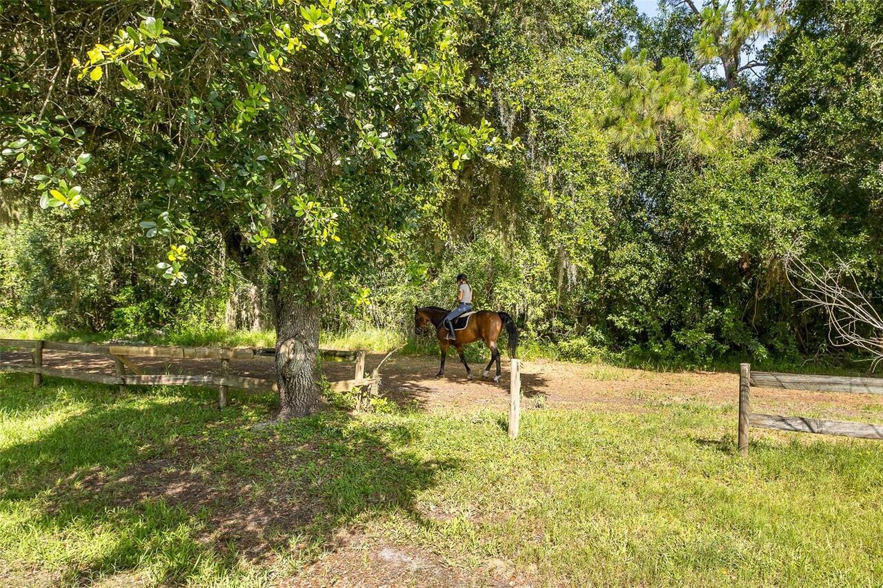 Listing Photo 48