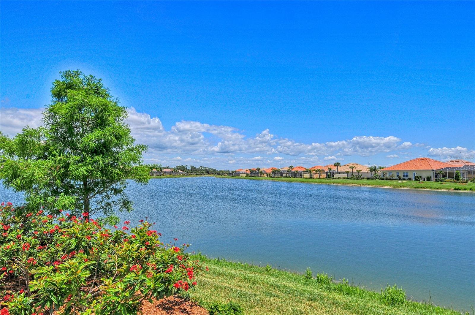 Listing Photo 36
