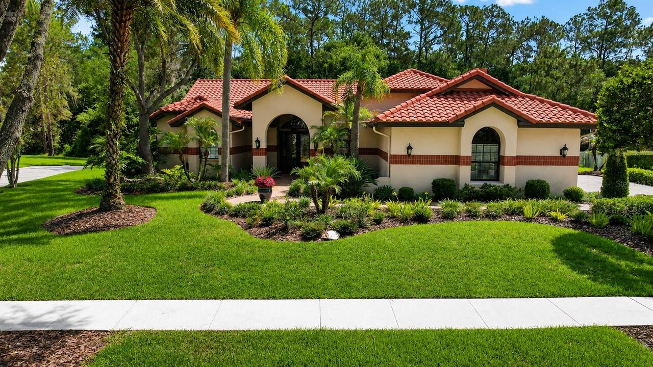 Tampa Real Estate