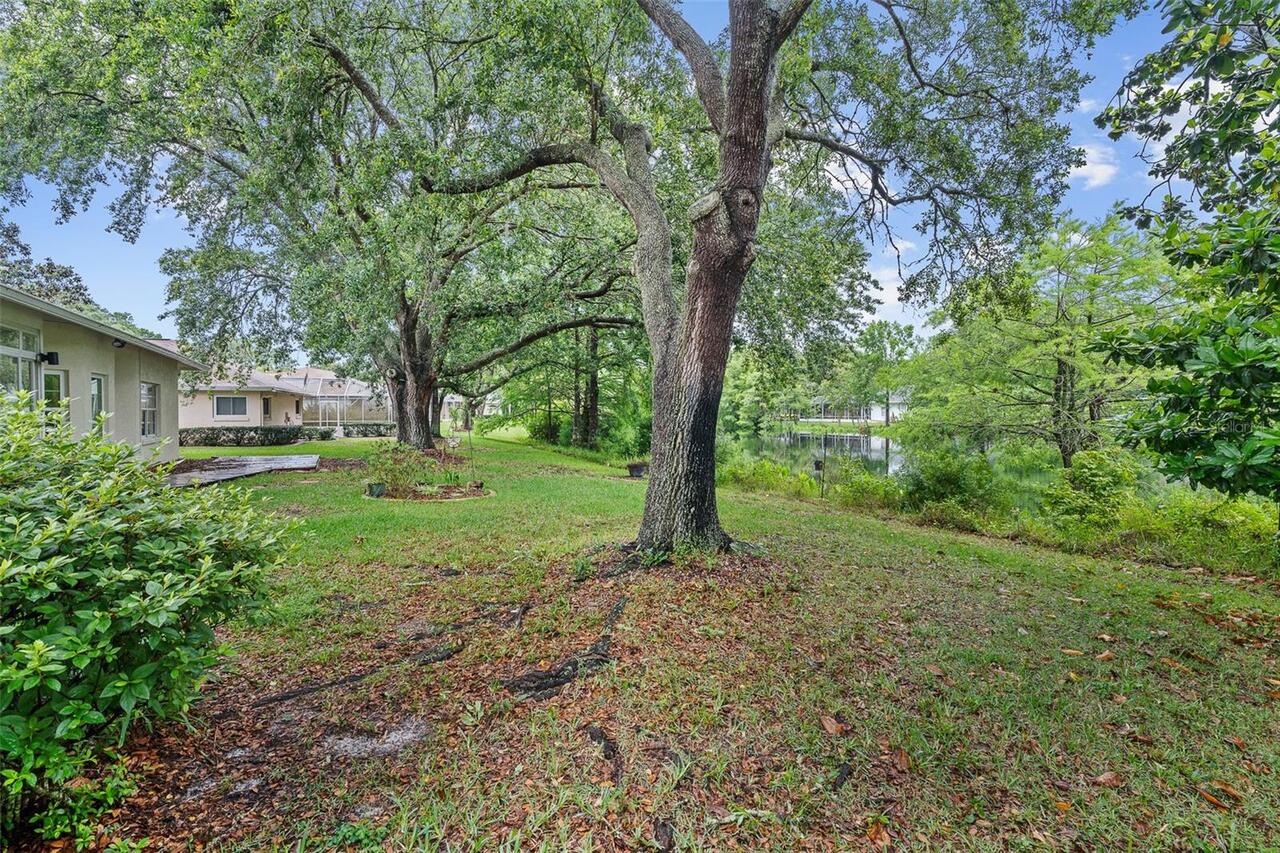 Listing Photo 34