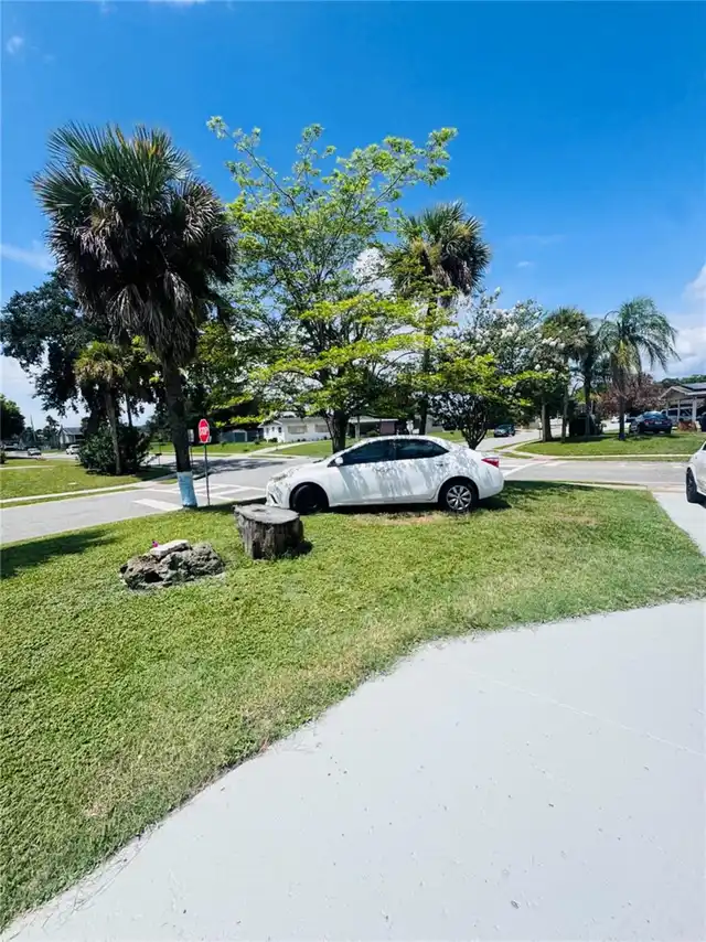 Listing Photo 62