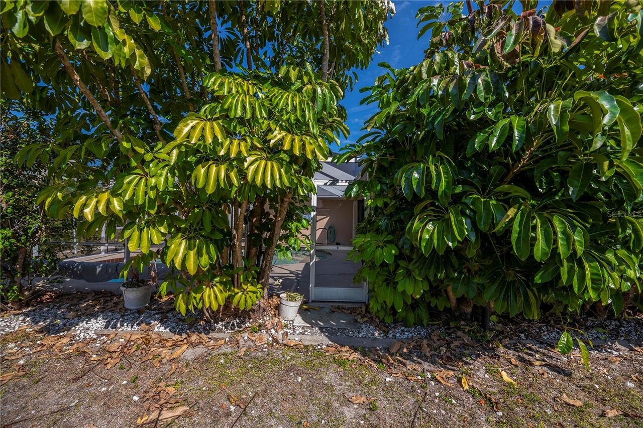 Listing Photo 65