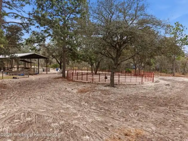 Listing Photo 62