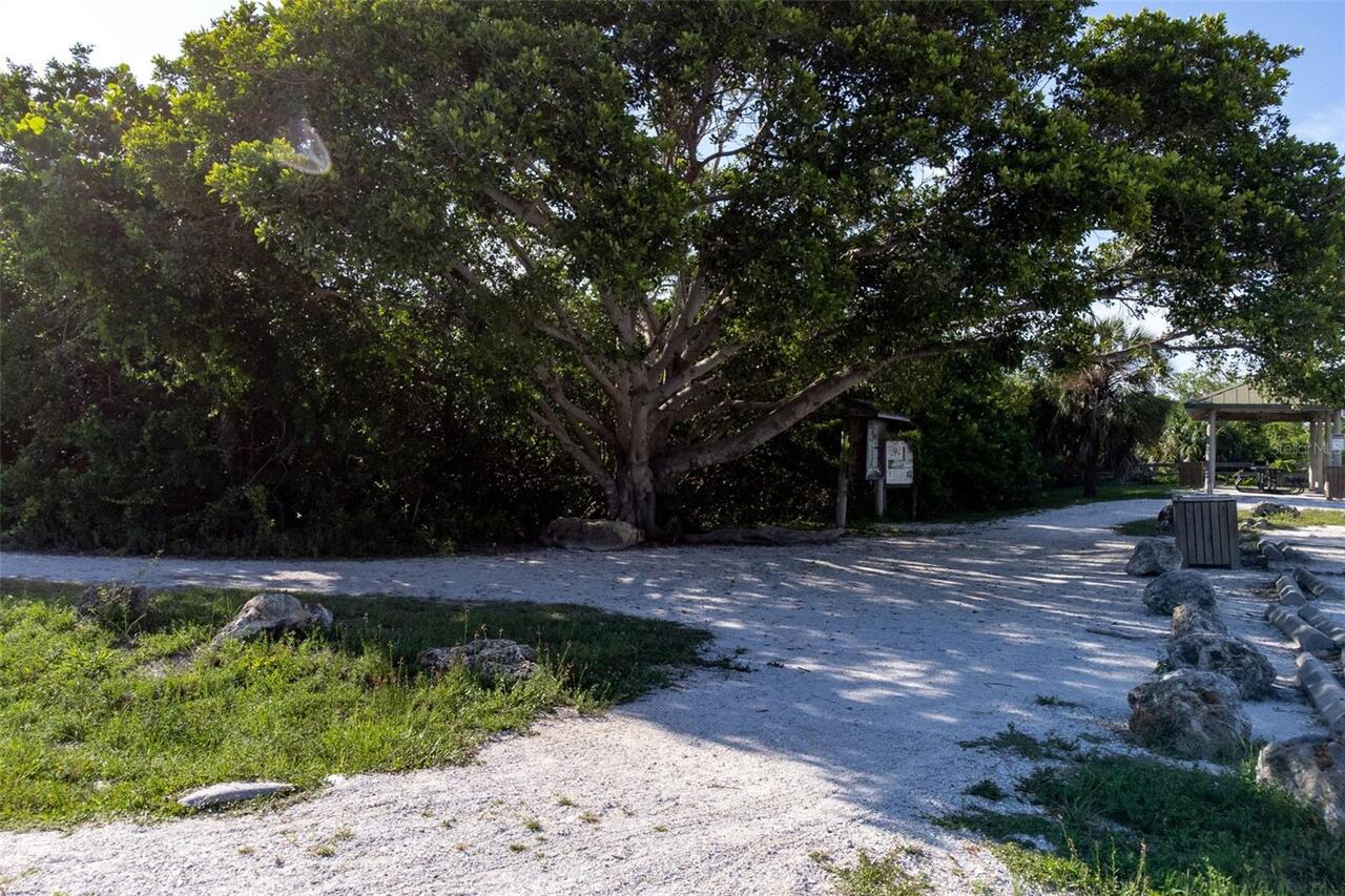Listing Photo 62