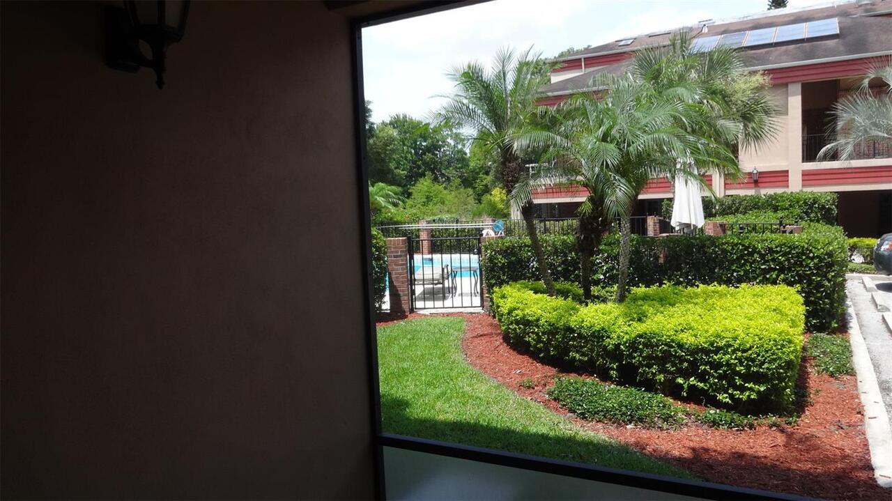 Orlando Real Estate
