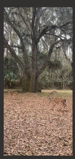 Listing Photo 56