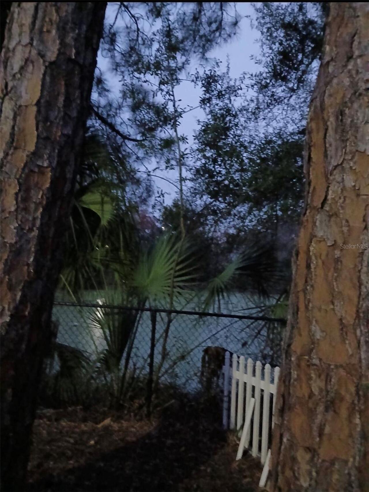 Listing Photo 73