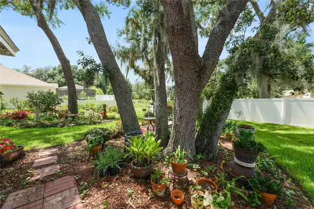 Listing Photo 64